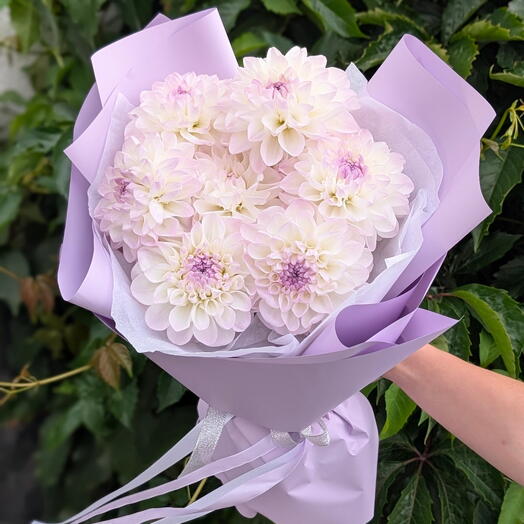 Сезонный букет "Лавандовое облако" из нежных махровых белых георгин 💜