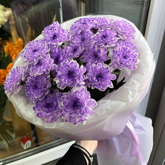Сиреневые хризантемы💜