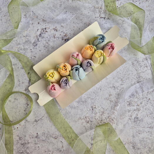 Apple Marshmallow Tulips, multicolored XS
