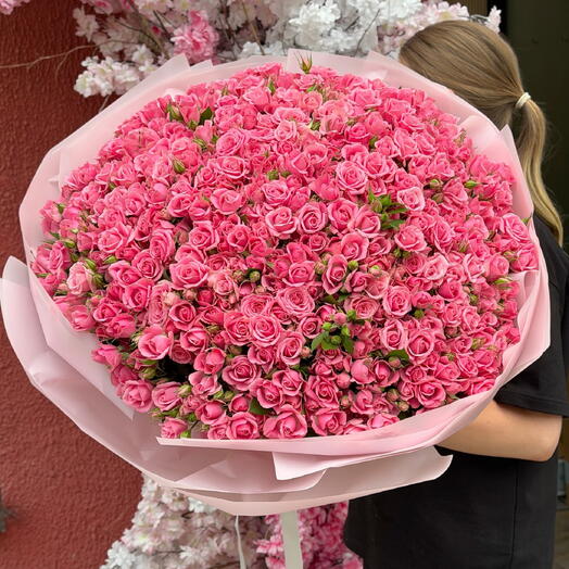 Kustavoy rose s