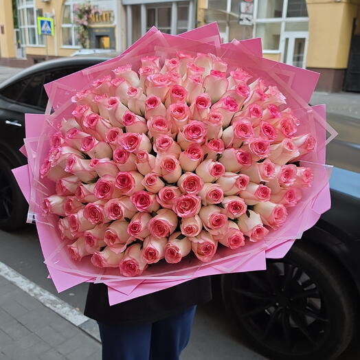 101 джумилия розовая