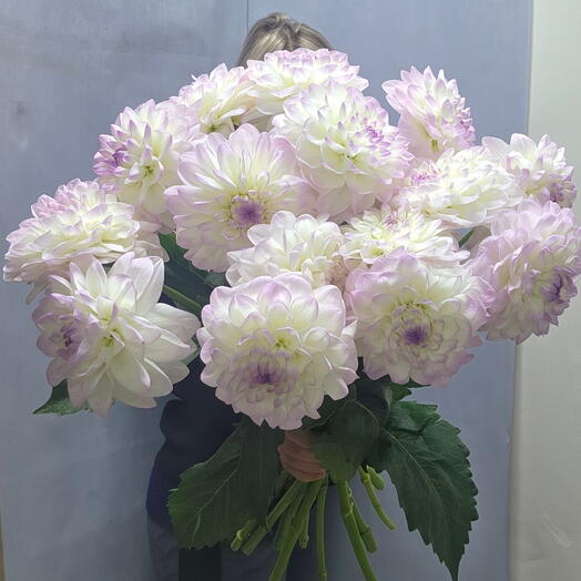Букет из георгин 15