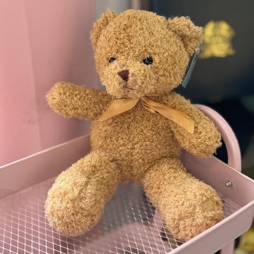 Игрушка Медведь М