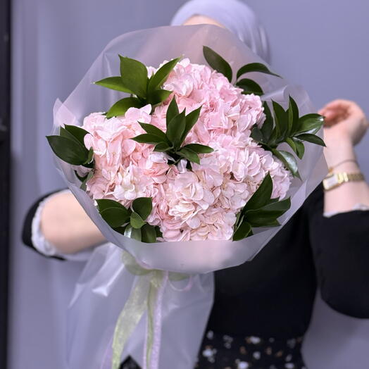гортензия и рускус