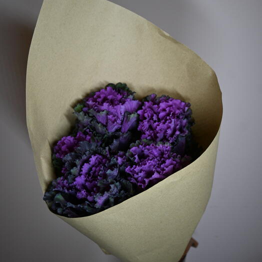 Капуста - брассика в крафте, 5 веток