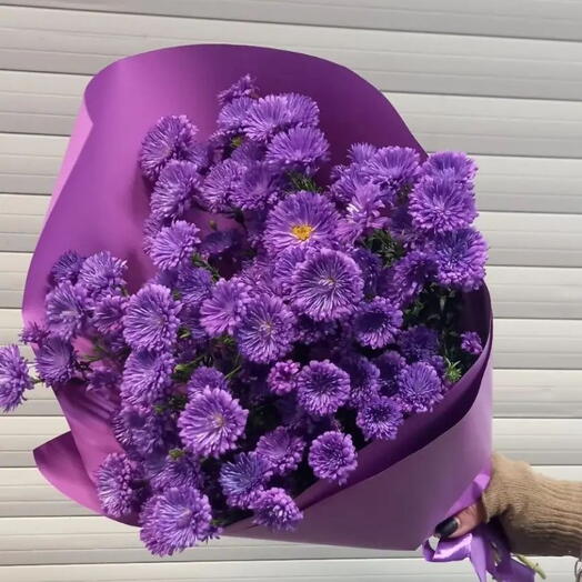 Астры для вас