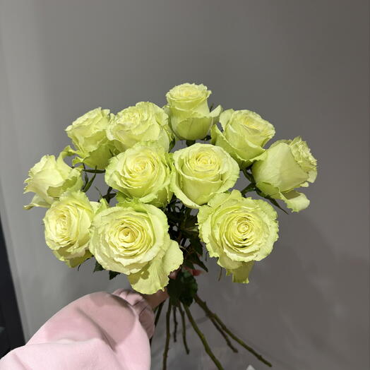 11 роз  лимонад 🍋под ленту 🌸