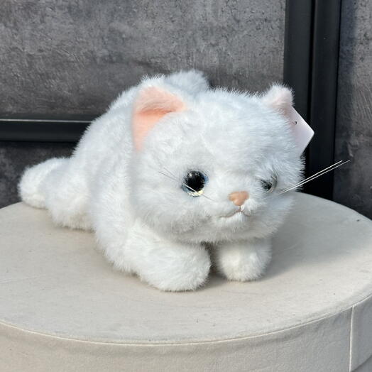 Плюшевый котенок белый