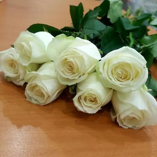 7 rosas blancas