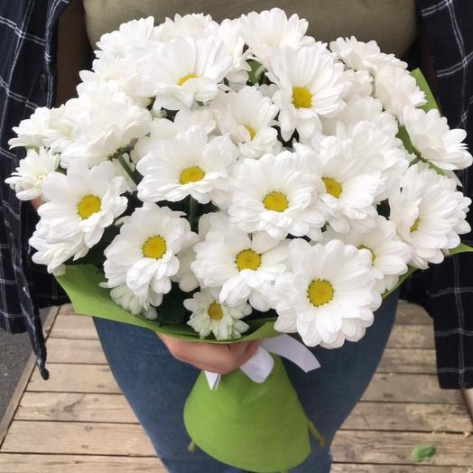 Bouquet of 7 chrysanthemums
