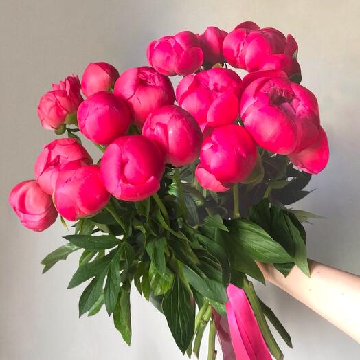 15 peonies - букет из 15ти коралловых пионов