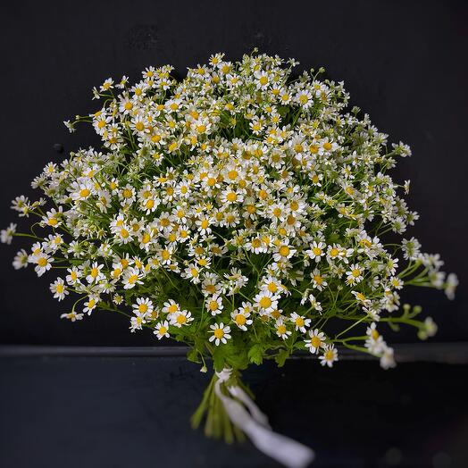 Букет из 25 ромашек (матрикария) (код 28)