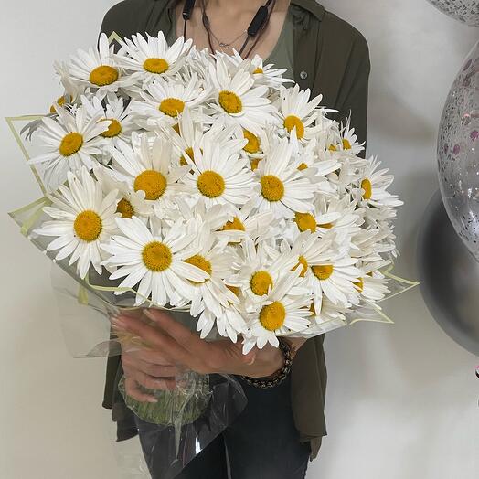 Daisies