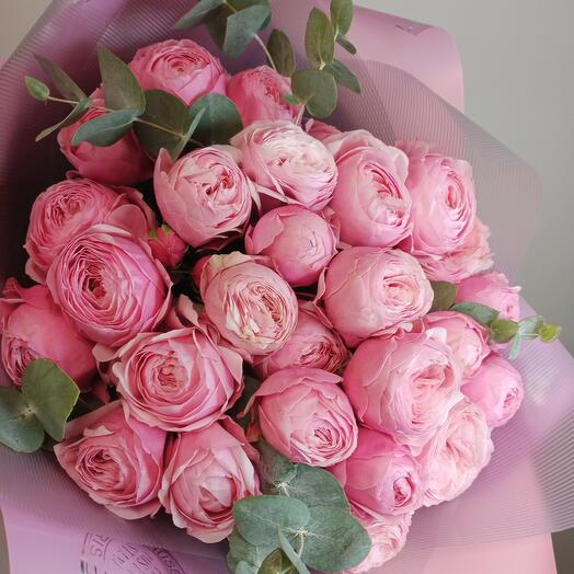 Peony - shaped bush rose