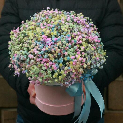 Гипсофила радужная в коробке