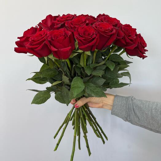 Mono of scarlet roses