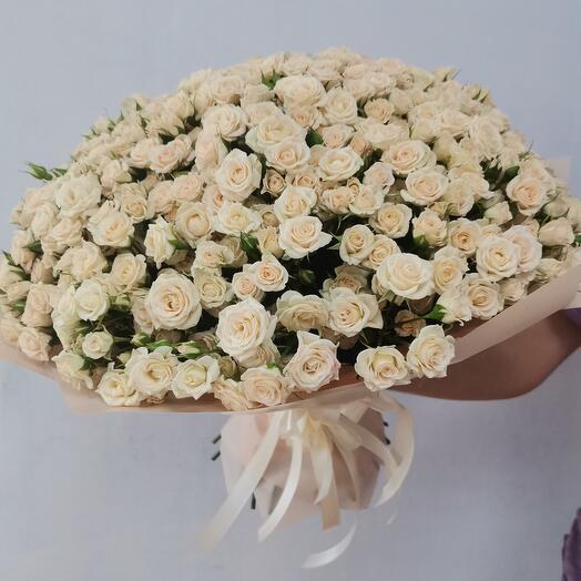 Ramo de 101 rosas de arbusto cremoso