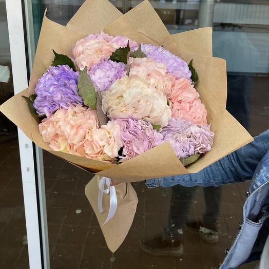 Hydrangea