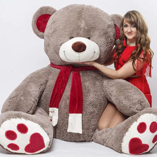 230cm Valentine grey