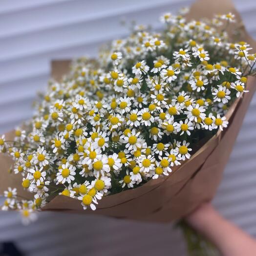 Ромашковый букет