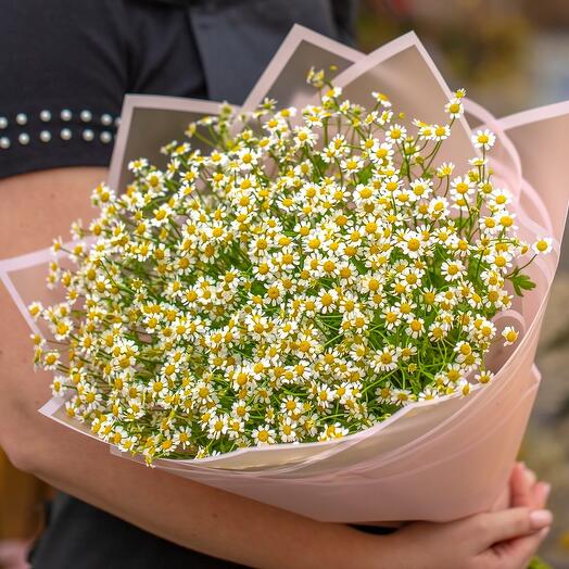 Букет из ромашек кустовых
