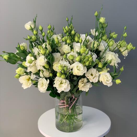 Eustoma white 31 pcs