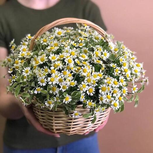 Корзина с цветами