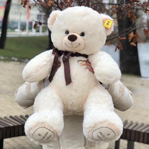 Плюшевый комплемент 🧸