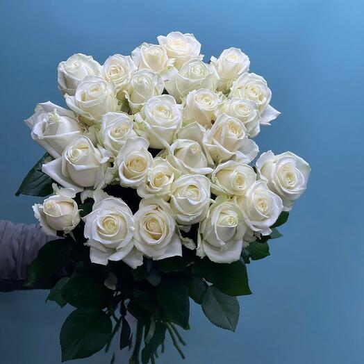 Rosas blancas bajo la cinta