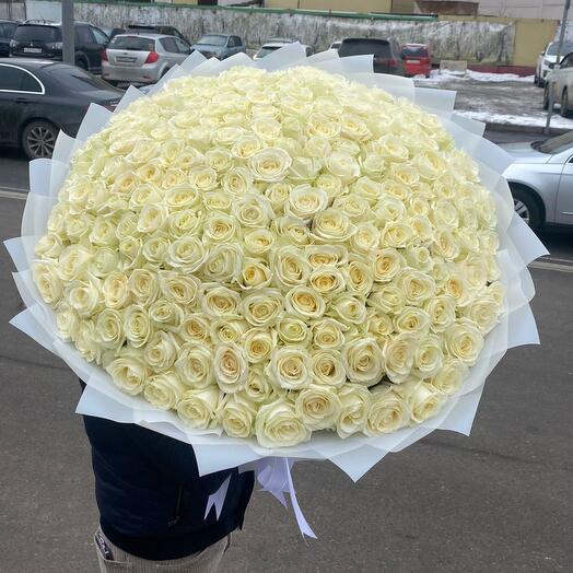 White roses