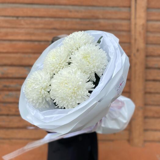 Chrysanthemum white single-headed (5 pieces)