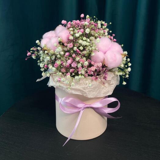 Gypsophila en una Caja de sombrero