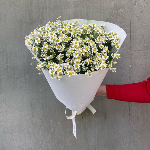 Букет из 9 кусовых ромашек