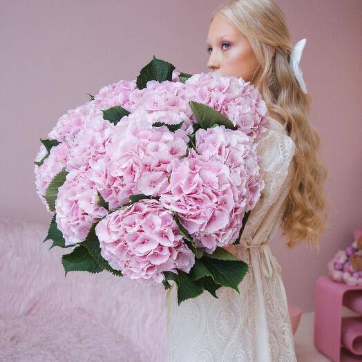 Bouquet of 15 pink hydrangeas with ribbon