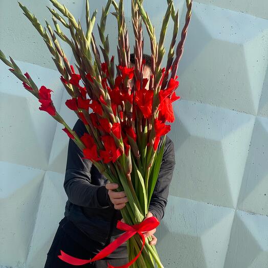 Красные гладиолусы 💐