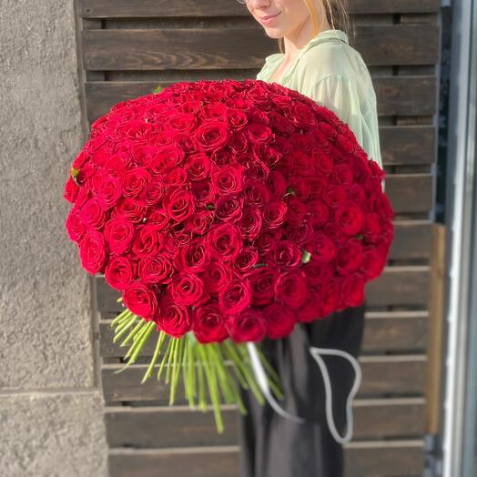 101 red roses