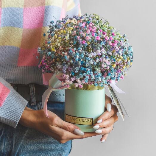 Гипсофила в маленькой коробке