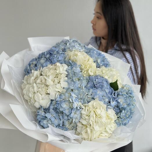 Букет из 11 гортензий