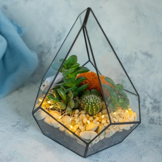 Florarium Irregular drop with cactus and succulents