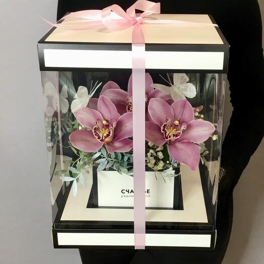 Transparent box with orchids and butterflies