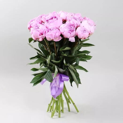 25 Peony Bunch With Ribbon Tied