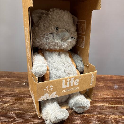 Кот 🐈‍⬛ с сардельками. Orange