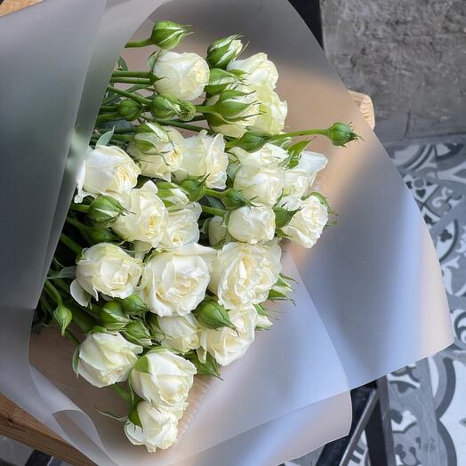 Softness