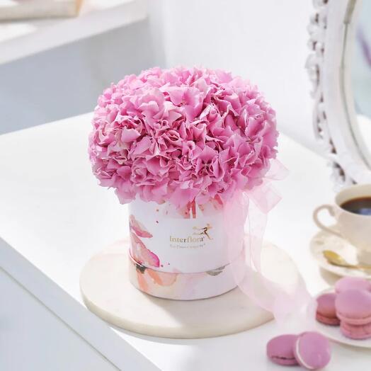 Цветы в коробке гортензия 2шт