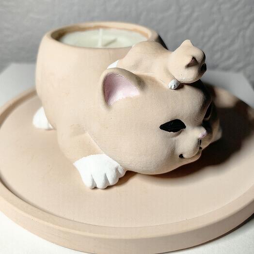 Кошечка с котёнком на подносе