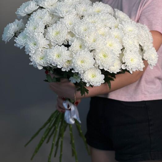 Хризантема белая 15 шт