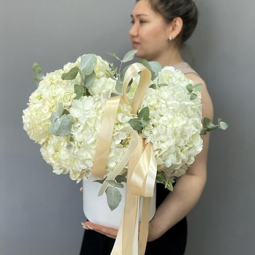 Hortensia blanca como la nieve con eucalipto, en una Caja de sombrero-9 🥰 🍀 (0003)