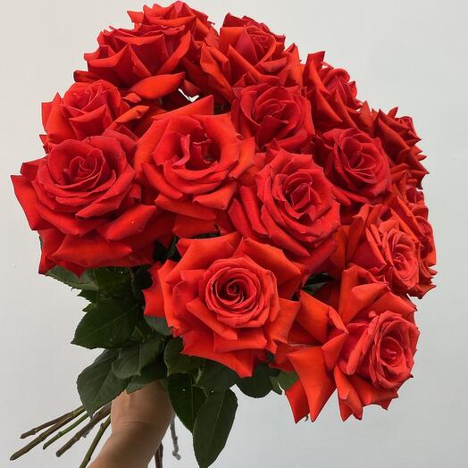 Розы алые 15 шт
