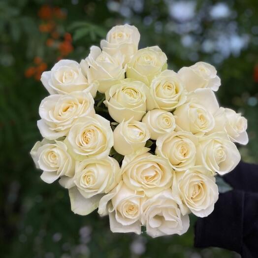 Hermoso ramo de 21 rosas blancas Avalange 60cm