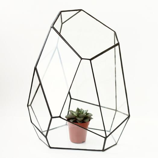 Флорариум для растений из стекла Сатинат